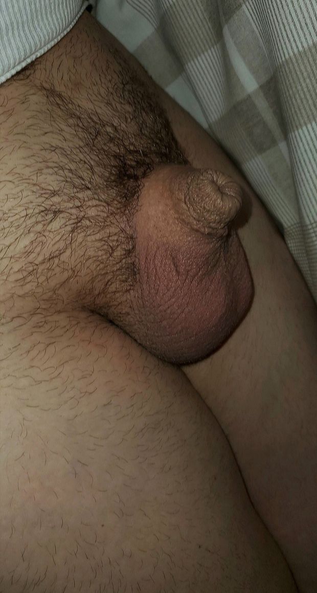My flaccid fully grown adult penis