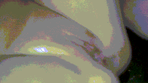 breedanator Picture