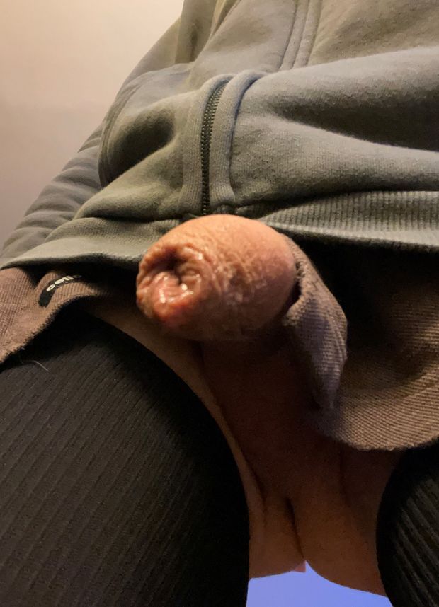 belle bite ts