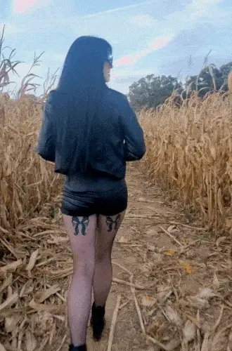 Nature flashing