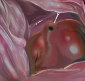 Anthro canine cock about to fill a human slut