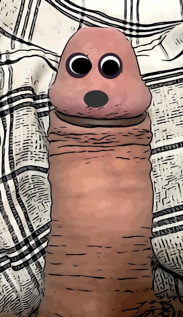 Surprised cock
