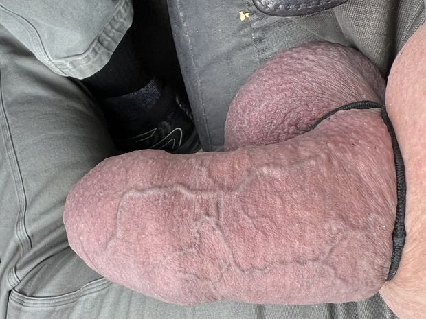 Veiny bound cock