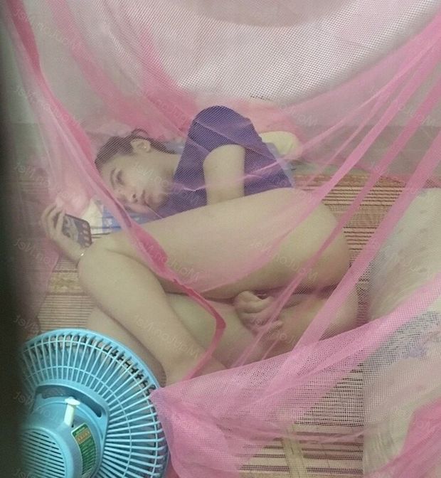 qtqtq