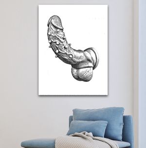 A big cock drawing on your wall