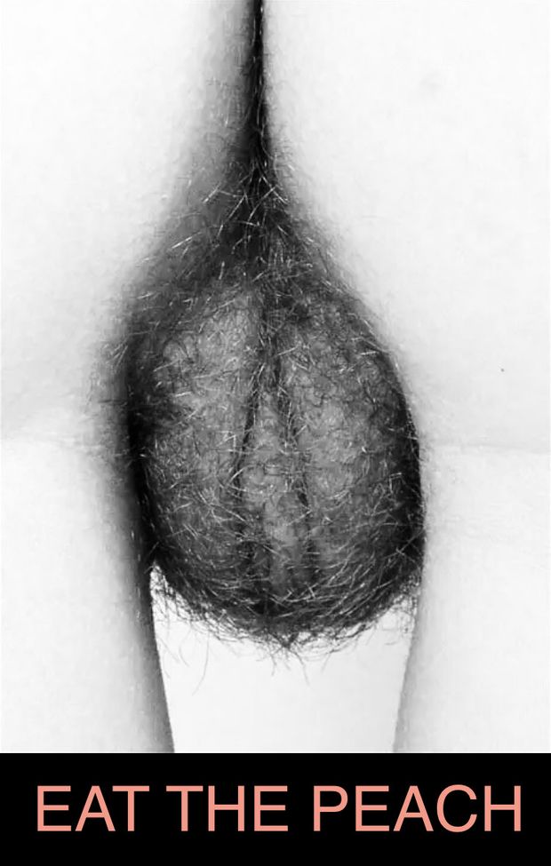 Hairy pussy needs licked