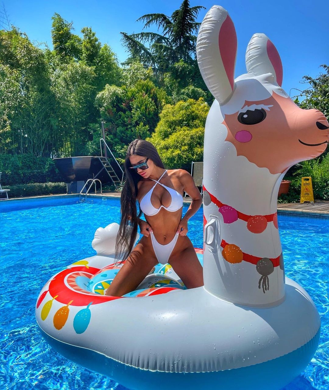 llama