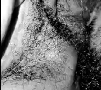 Licking Queens Pussy