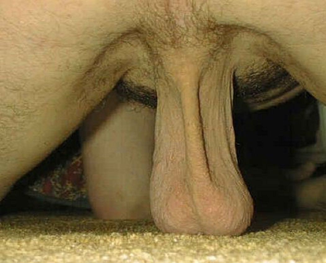 ass and balls