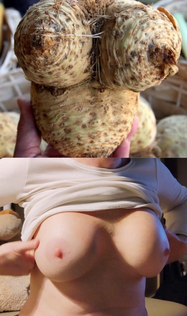 Humour gros seins