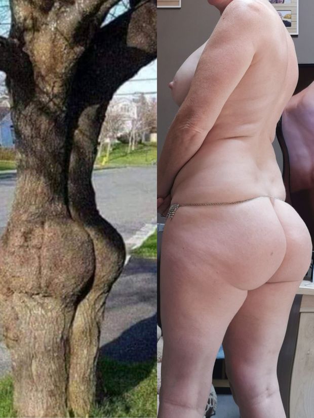Humour grosse fesses