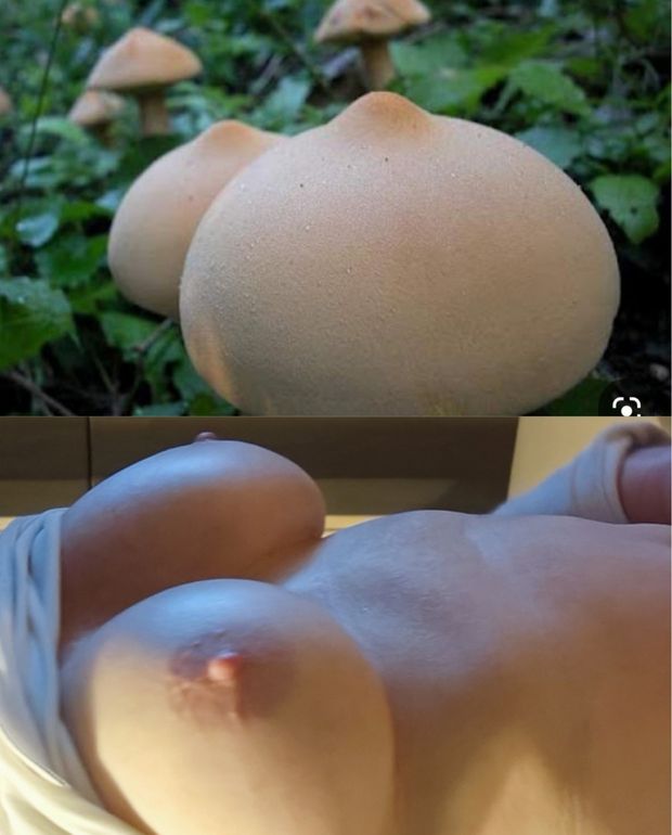 Humour gros seins