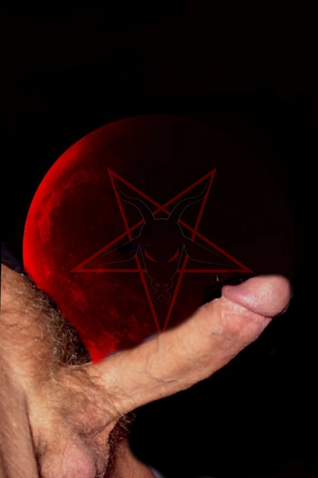 wyldcock