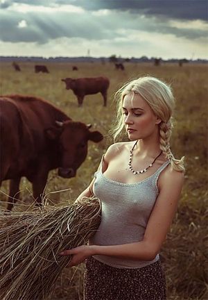 Farm Pokies