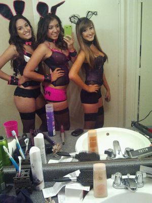 lingerie costumes