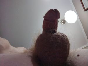 Steve83 Picture