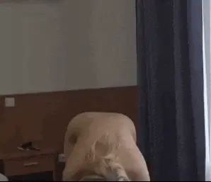 Sophie Mei
