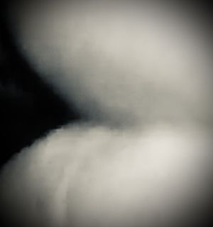 Quindi Picture