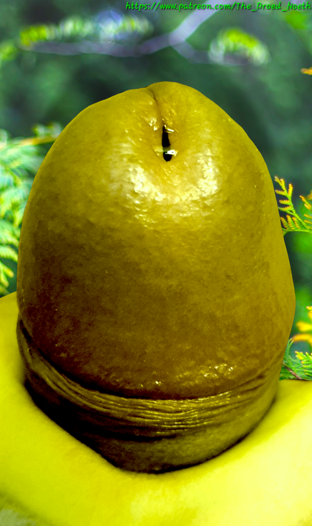 ORC COCK WANT TO CUM