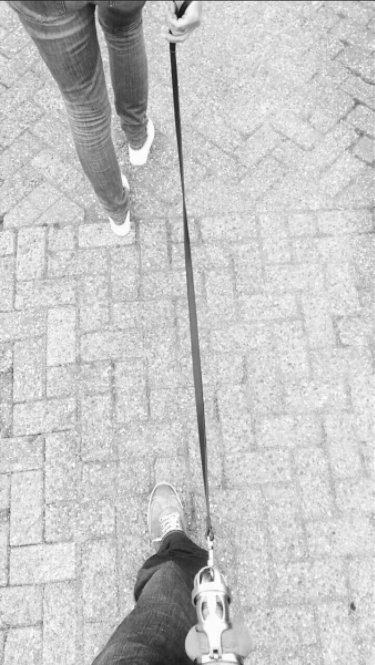 Out for a walk