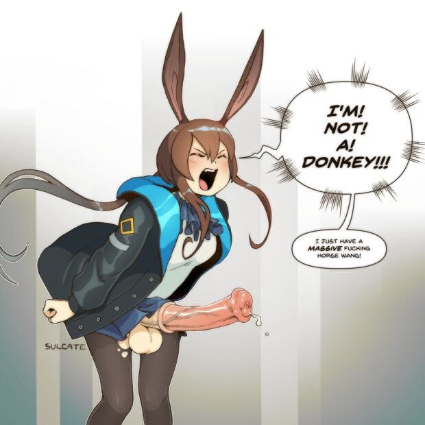 not donkey
