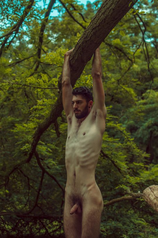 the-definitive-pits-and-nipples-thread.
