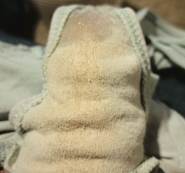 Creamy panties with cum