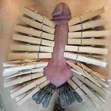 Clothes pins on his dick