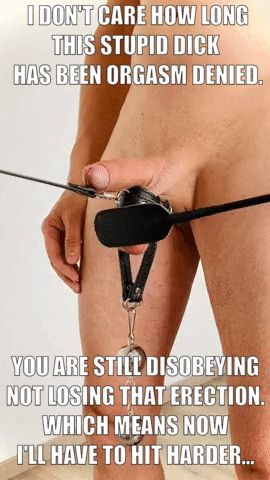 Your erection is already an offense