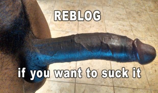 Sucking this beast would be a pleasure