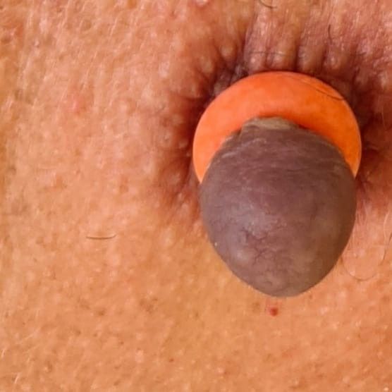 Tits tortured