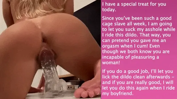 Special Treat