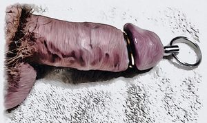 Sounding rod inserted fully into a dick