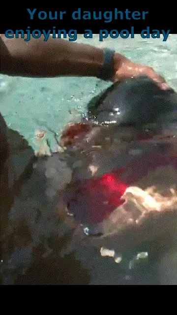 POOL DAY