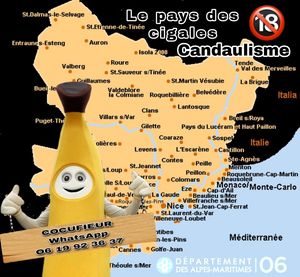 Cannes fitgame Fitgames fitmen06 fitmen booty