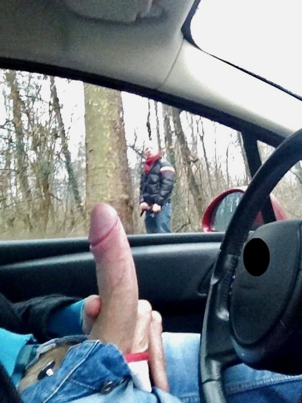 cruising the woods