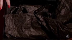 dL — gift handcuffs leash collar