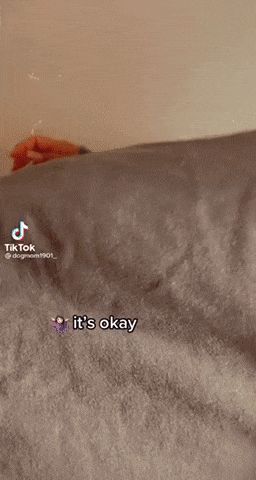 Fat ass dog mom @dogmom1901_