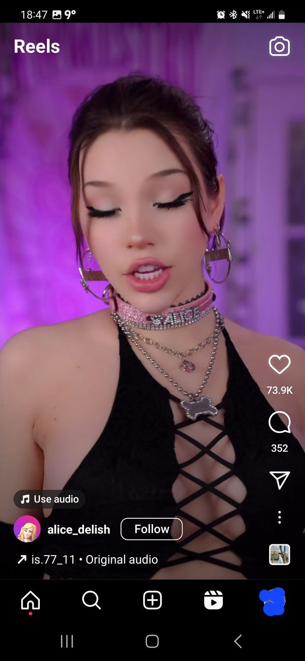 Dog collar