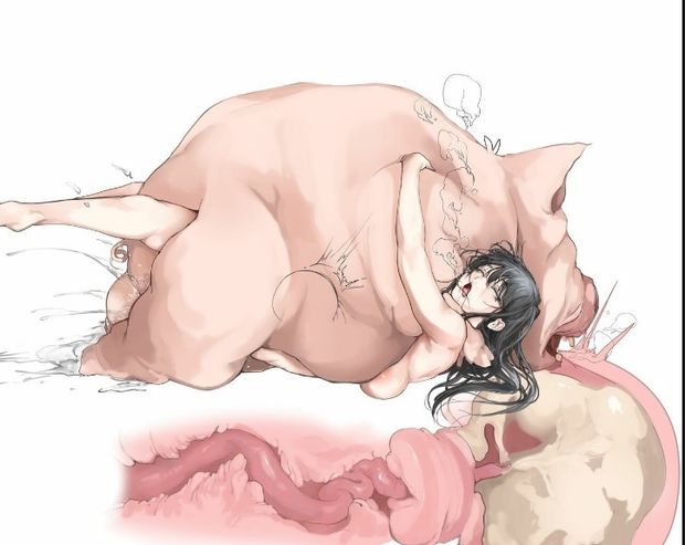 komi san pig
