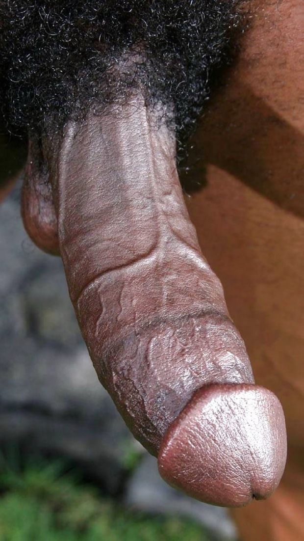 Tempting cock