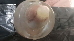 Cum filled condom in fleshlight quickshot