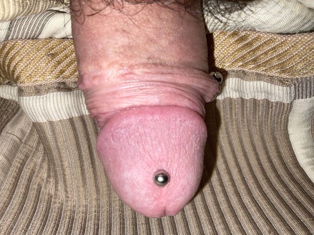 El