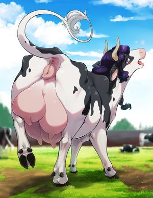 Dairy Cow