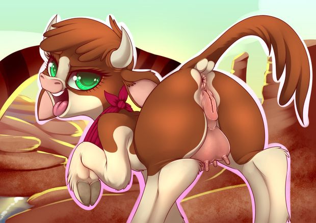 Hereford Pussy