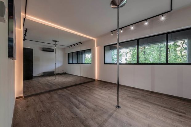 at-home pole dance studio