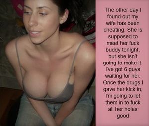 cheating wife revenge