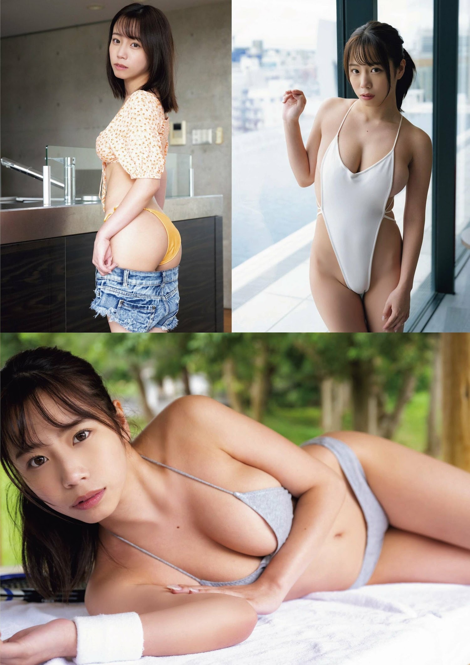 乙陽葵