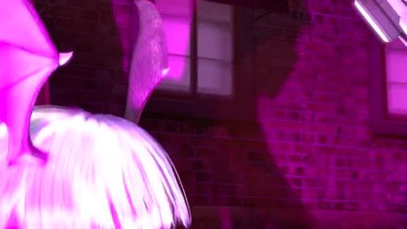 GangBang some game character. No Idea which one. LoL