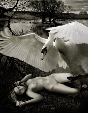 The god Zeus turned into a swan and assaulted Leda, Queen of Sparta, sexually.